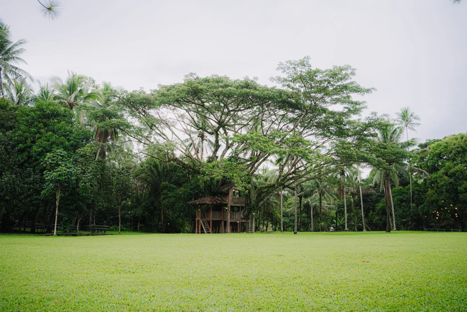 What to Pack for a Treehouse Glamping Stay